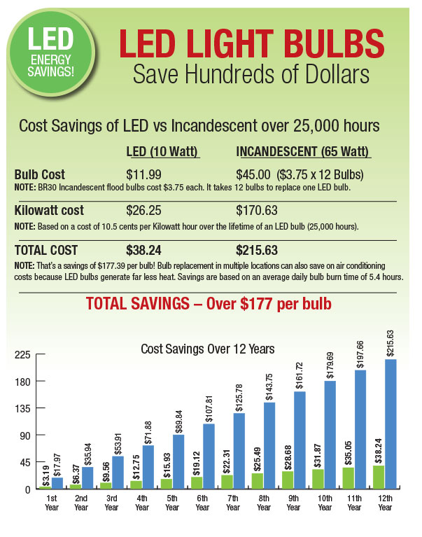 Household savings: LED bulbs gaining in cost efficiency