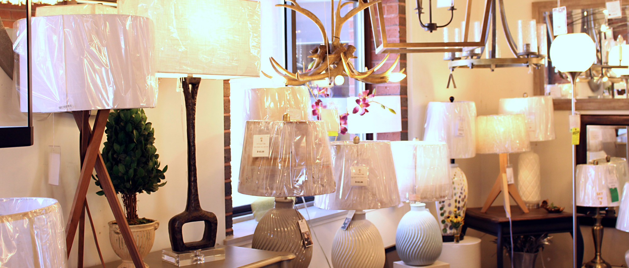 Newton Electric Table and Floor Lamps